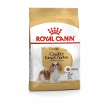 BHN CAVALIER KING CHARLES ADULT 1,5 kg