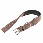 DAYTONA C25/45 COLLAR BROWN