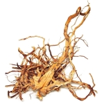 Koren FINGER WOOD - L 35-50cm