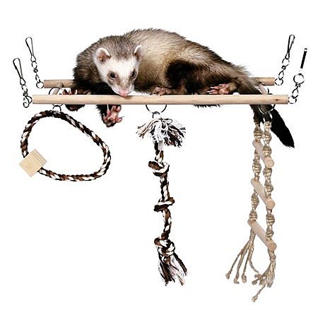 30e62a8ca01a3bf71bb3225ea2495b48e67bd10f Suspension bridge, rope ladder, ferrets, wood/rope, 35 × 15 × 15 cm – Obrázok 1