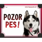 Tabulka POZOR PES  - husky