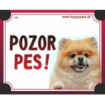 Tabulka POZOR PES  - špic