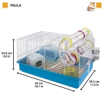 CAGE PAULA WHITE