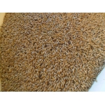 AVC Lesknice 25kg