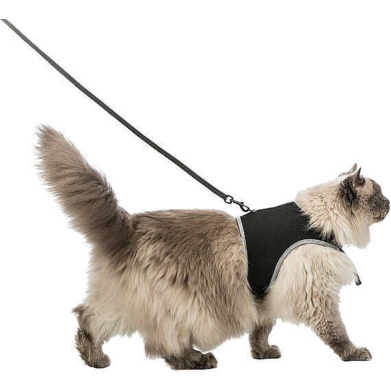 5d1e28fcda034ea85b4c1bd38e912047465093c6 Soft harness cat, with leash XXL, 36–54 cm, 1.20 m, black – Obrázok 1