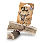 KD Antler, jelení paroh polený - M