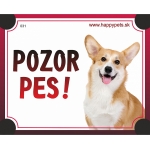 Tabulka POZOR PES  - corgi