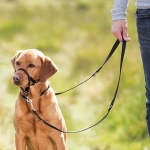 Top Trainer training harness, L, black