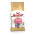 FBN BRITISH SHORT KITTEN 2 kg