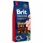 BRIT NATURE ADULT L 15kg
