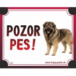 Tabulka POZOR PES  - kaukazak
