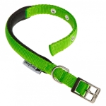 DAYTONA C15/35 COLLAR GREEN