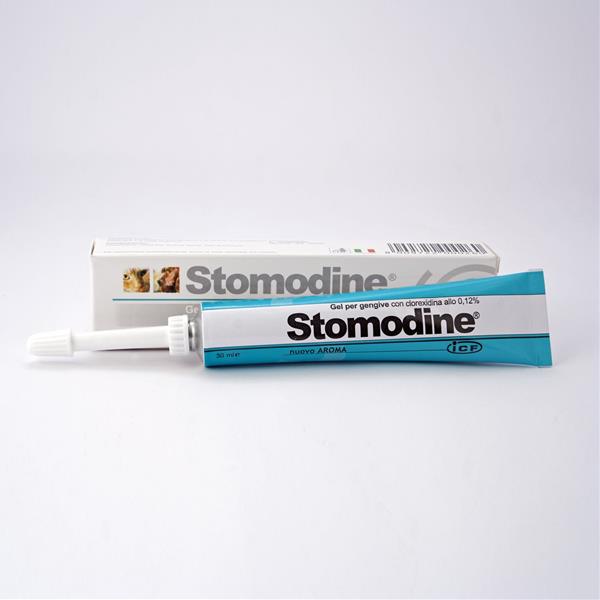 OBC006923-1382091709 Stomodine gel 30 ml – Obrázok 1