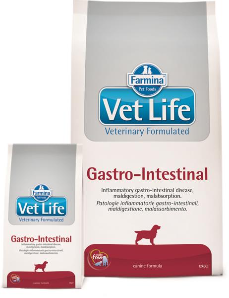 OBC007181-1382091765 Farmina Vet Life dog gastrointestinal 12 kg – Obrázok 1