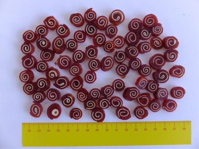 OBC012313-1455716369 Pamlsok Salač Rolka kačica treska 250 g – Obrázok 1