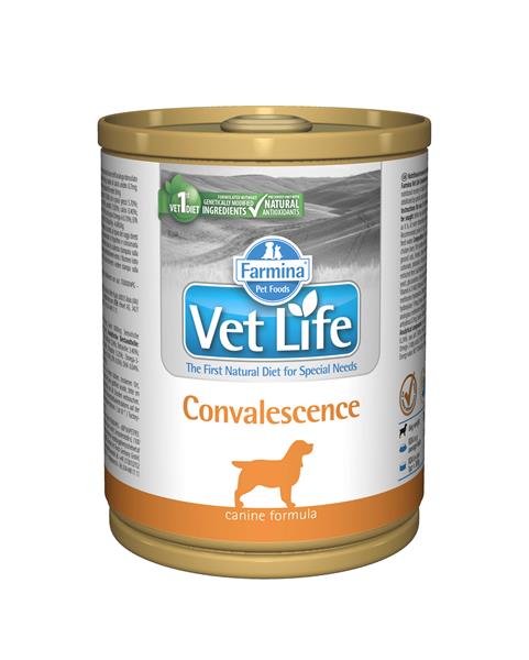 OBC012719-1463383870 Farmina Vet Life dog convalescence konzerva 300 g – Obrázok 1