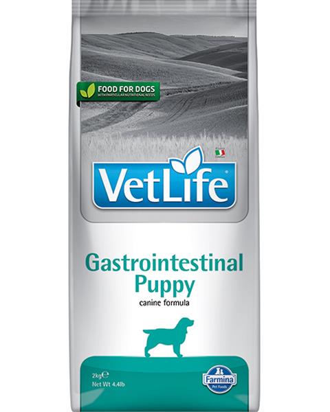 OBC019700-1606468031 Farmina Vet Life dog gastrointestinal puppy 2 kg – Obrázok 1