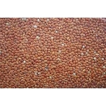AVC Proso cervené 25kg