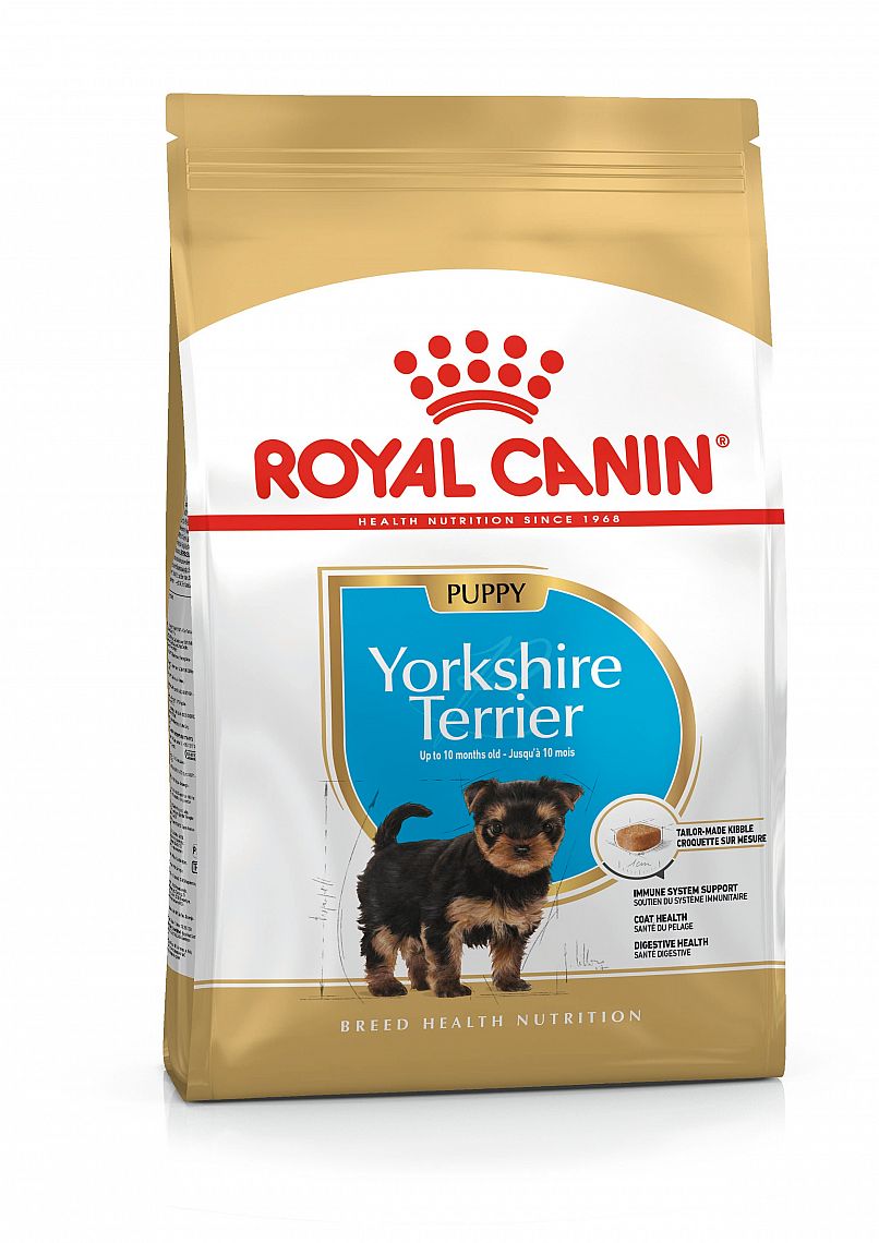ba7dd7f593afa65ce7e547b2fcdfb8ff5136c34b BHN YORKSHIRE PUPPY 1,5 kg – Obrázok 1