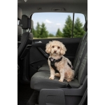 Car harness, XS: 20–50 cm/15 mm, black