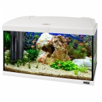 CAPRI 60 LED WHITE AQUARIUM