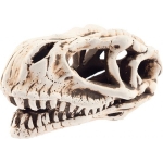 Lebka dinosaura 14cm - akva. dekorácia