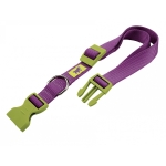 CLUB C20/56 COLOU.COLLAR PURPL