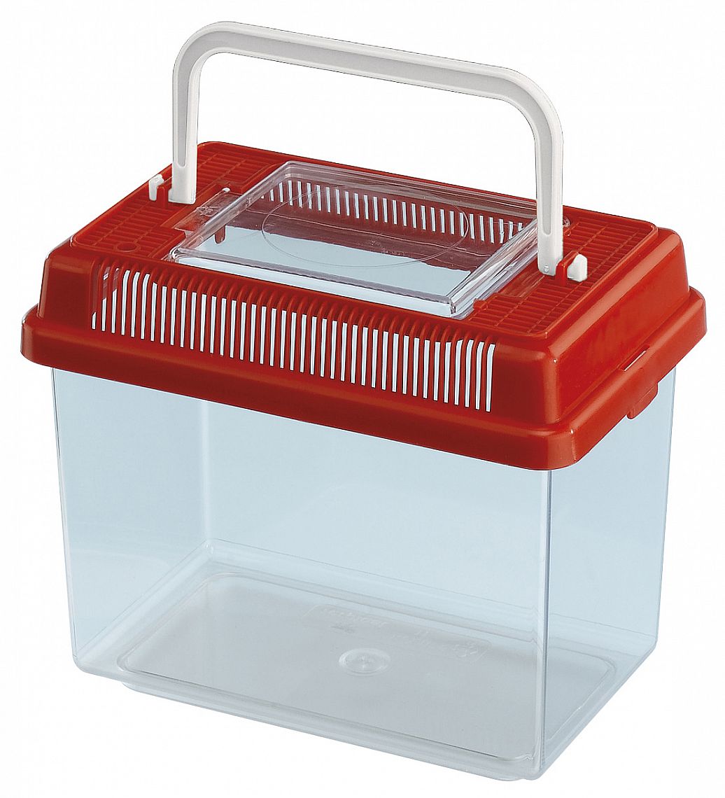 eb541be6466b9f1e2fada1b1526d2488fef23046 CONTAINER GEO SMALL – Obrázok 1