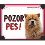 Tabulka POZOR PES  - chow chow