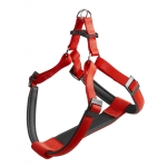 DAYTONA P SM HARNESS RED