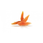 KD Kuracie prsia mäkké mäsko 250g